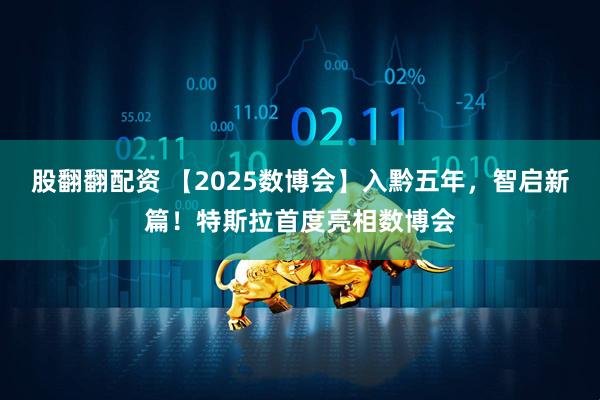 股翻翻配资 【2025数博会】入黔五年，智启新篇！特斯拉首度亮相数博会