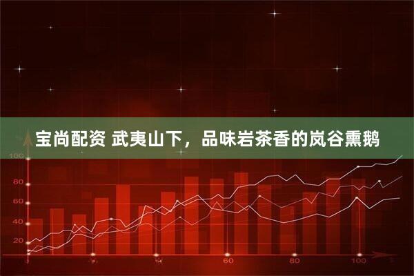 宝尚配资 武夷山下，品味岩茶香的岚谷熏鹅